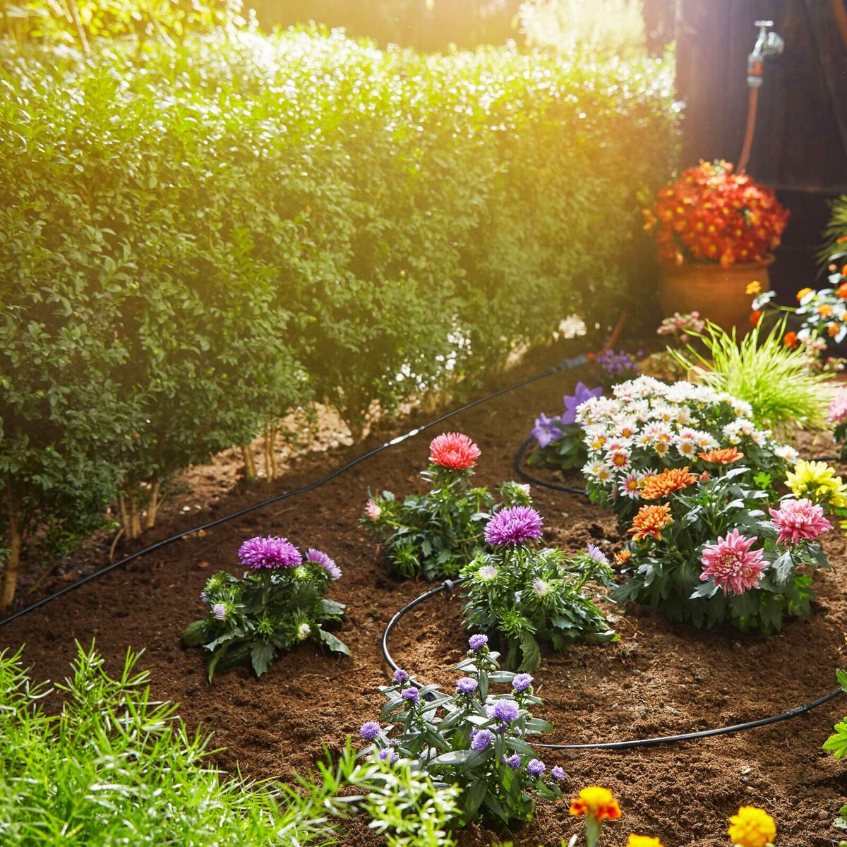 V4H15812A4687D0C3CBAE8C4AF1227AE9DER7162890P9