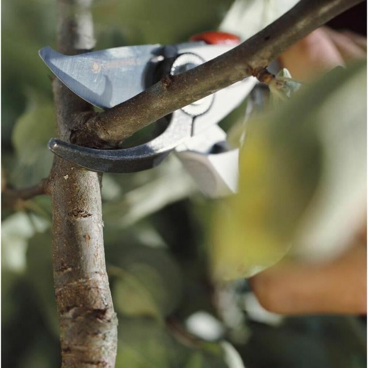 V8H2996E07EEFC3DEE8A9CCDA05AD3A5E4ER6248120P3