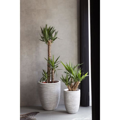 Elegant low flower pot - CAPI EUROPE - RIB NL - 46 x 58 cm - Ivory