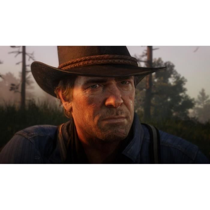 Red Dead Redemption 2 PS4 Game