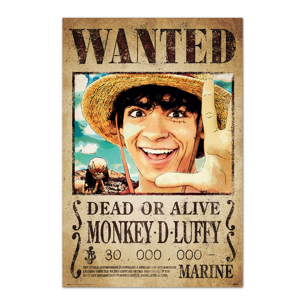 One Piece Wanted Monkey D. Luffy poster