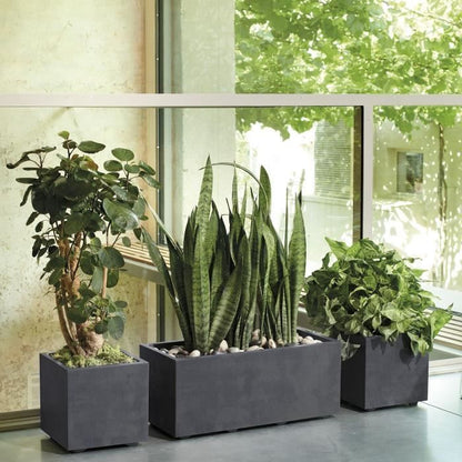 Cube Flower Pot - DEROMA - Millennium R - Anthracite - With water reserve - 25 cm