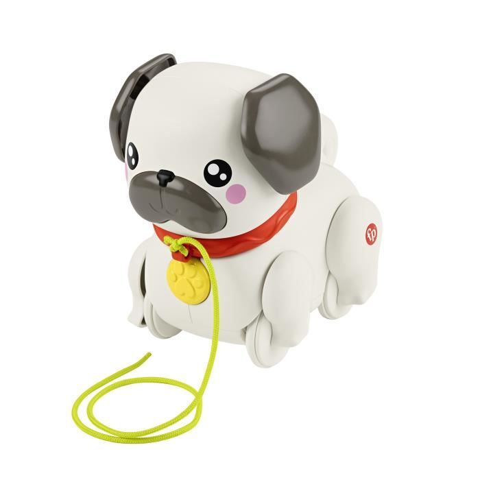 Fisher-Price My Pug to Walk Pull Along Toy for Baby HTW94