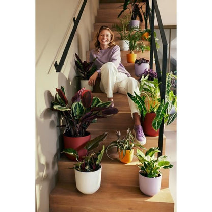 Flower pot - Elho - Jazz Round - Red - Ø 26 x H 24 cm - Indoor - 100% recycled