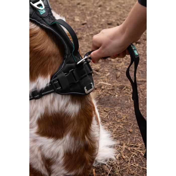 Dog Harness - SYMBIOZ - XXS - Black / Blue