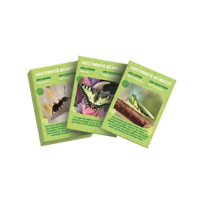 The CLEMENTONI insect house