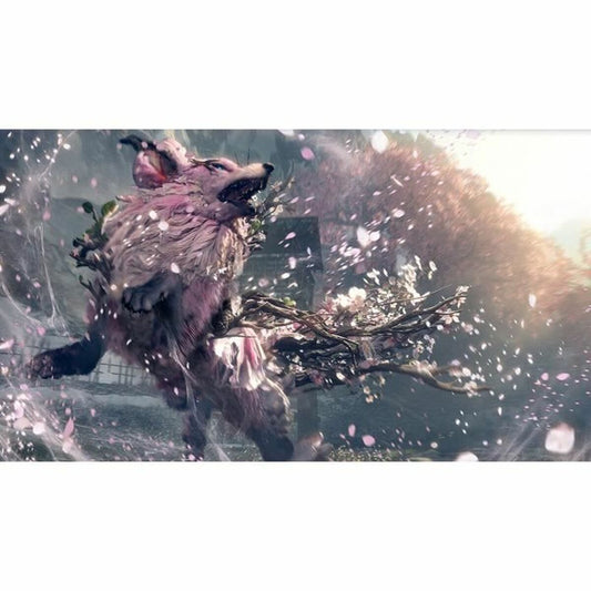 V2HD623B4C691B7164FD1A5314E246FF22CR7091444P2