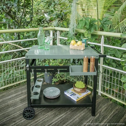 Plancha trolley - LIVOO - GS167V - Green / Black