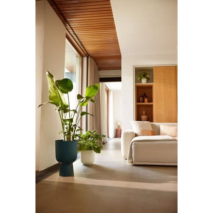 Flower pot - Elho - Vibes Fold Coupe - Blue - L 30 x W 29.5 x H 45 cm - Indoor - 100% recycled