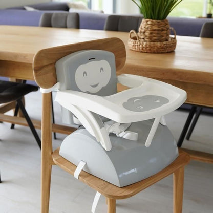 THERMOBABY BOOSTER of Chair 2 in 1 Charming Gray