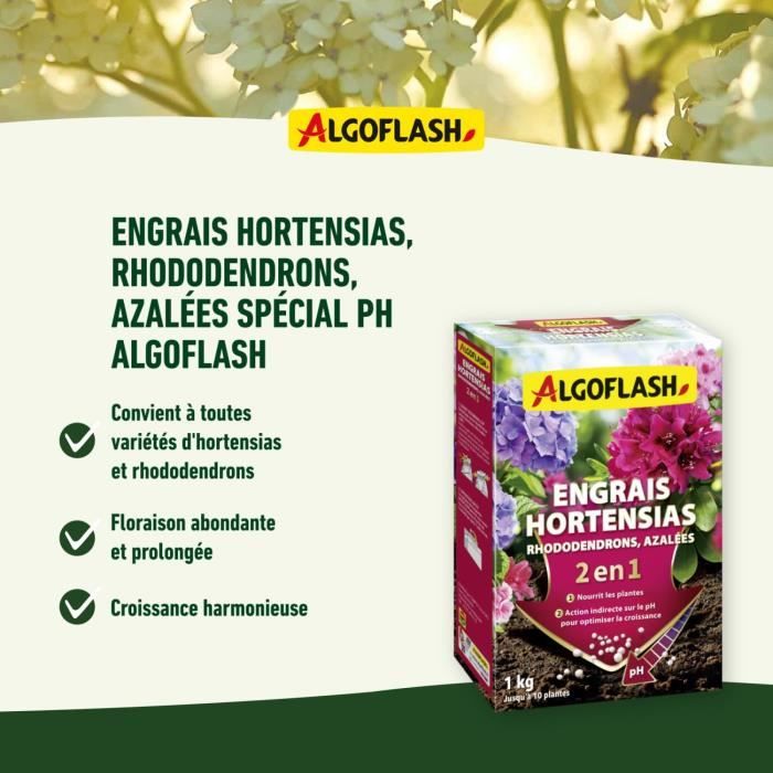 Hyesiah fertilizers, rhododendrons and azaleas - Algoflash Naturasol - PH special - 1 kg