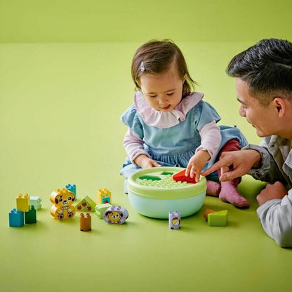 V3HC039241C6A504ED13225DB5025FB8B09R5811324P5