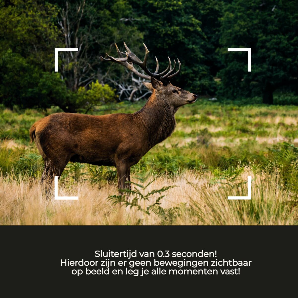 V4H0A86895F27F6BEBB2ACF5803DCDE3FADR6643281P8