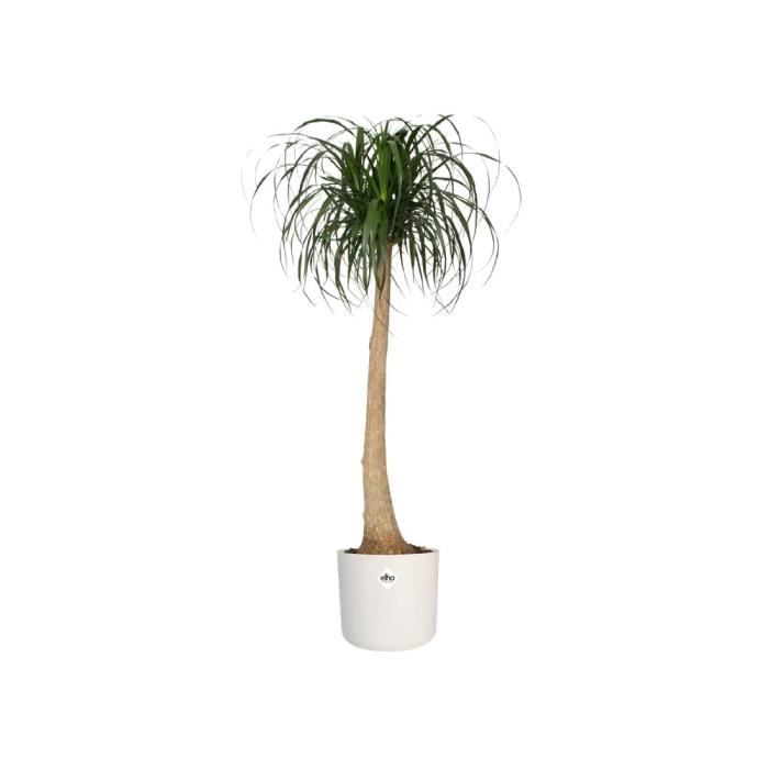 ELHO B.for Soft Round flower pot 35 - White - Ø 35 x H 32 cm - interior - 100% recycled
