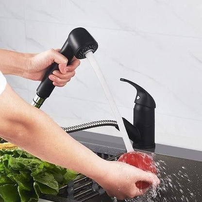 Sink Mixer Tap - BAGO - Pull-Out 2-Jet Spray - Matte Black - Classic Design - Easy Installation