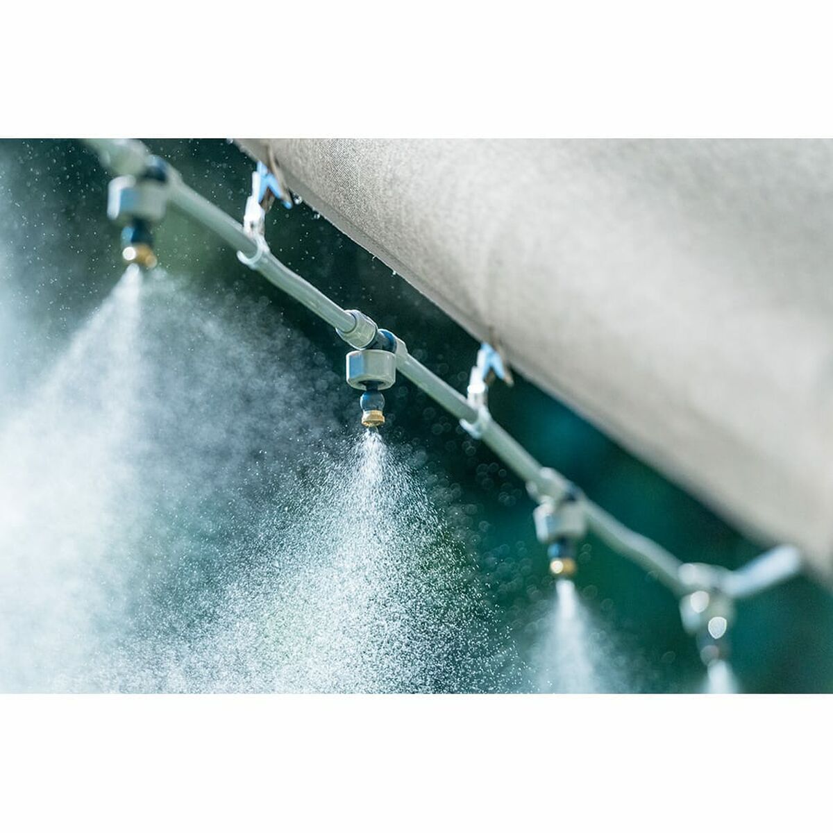 V3H029D0F8BB2A51108A2FA5298CE5A782BR5958129P4