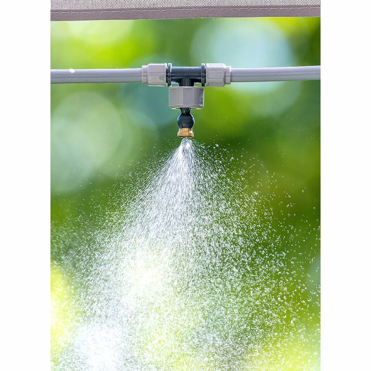 V3H31FB0B44939559179B09544D4208B619R5958130P5