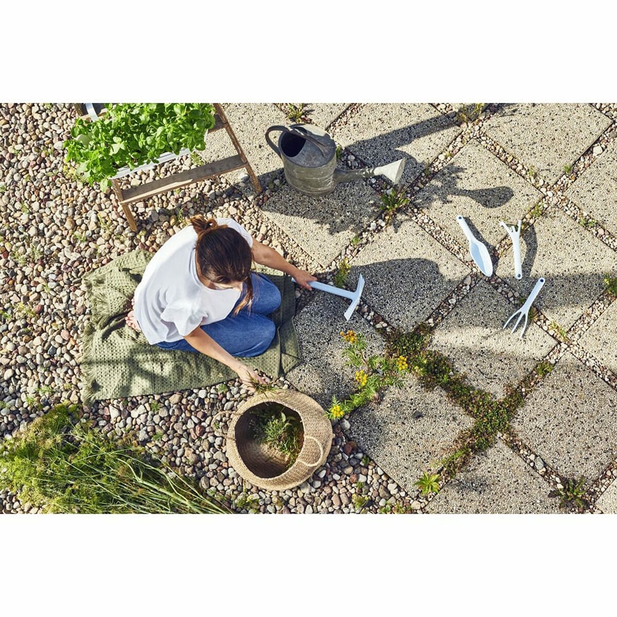 V3HAAEEFEDCF2CEC15A07D4ED3947725CCAR5565812P3