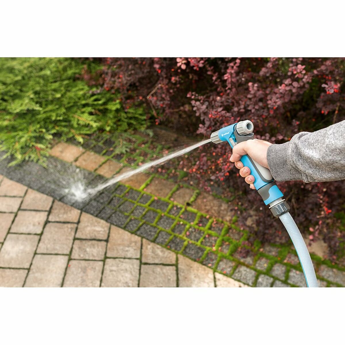 V6H65AFC54D43F4695272C6D0B28DAC34F7R4685970P5