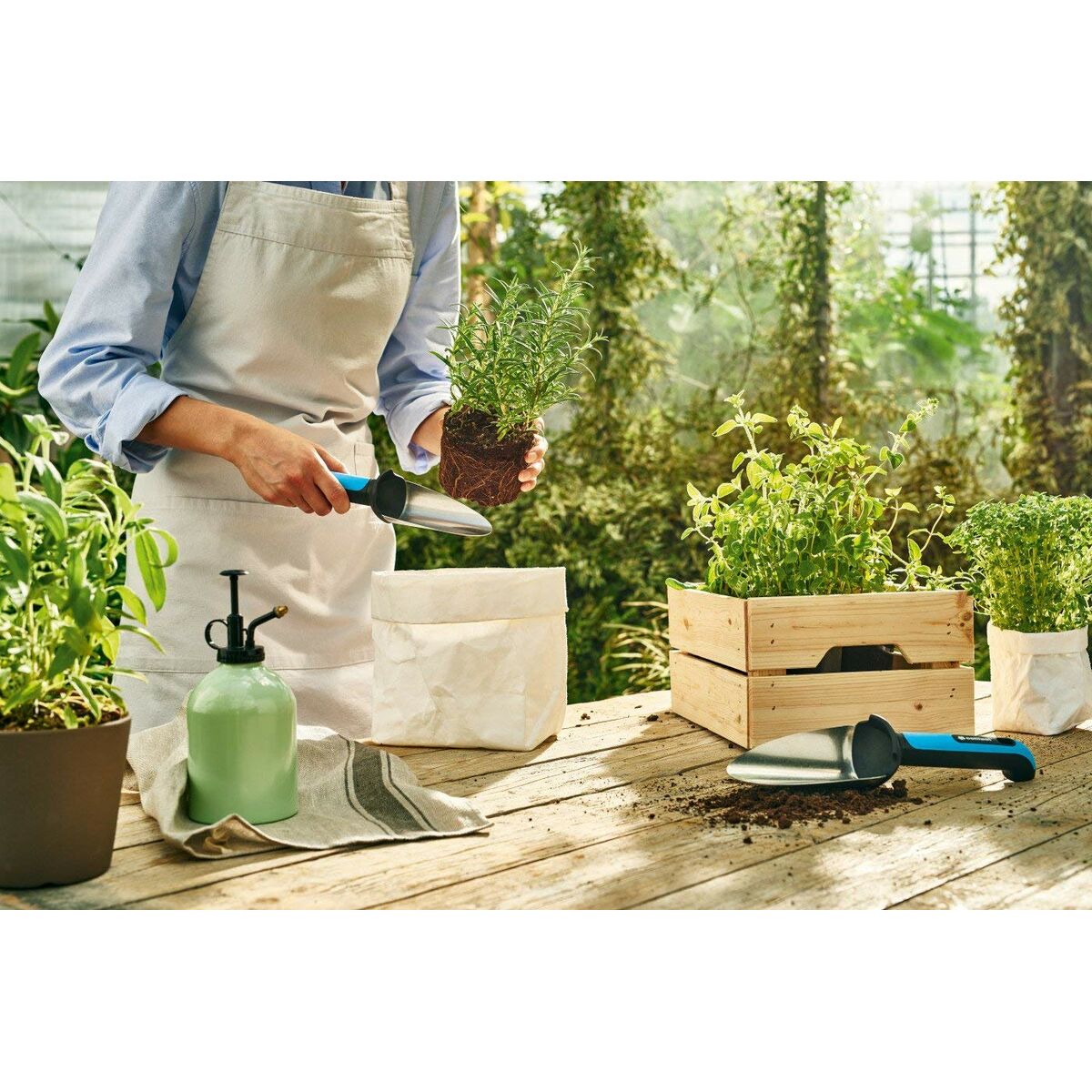 V4H8A5795BADDBEEB907036474785CDD9E3R4407538P7