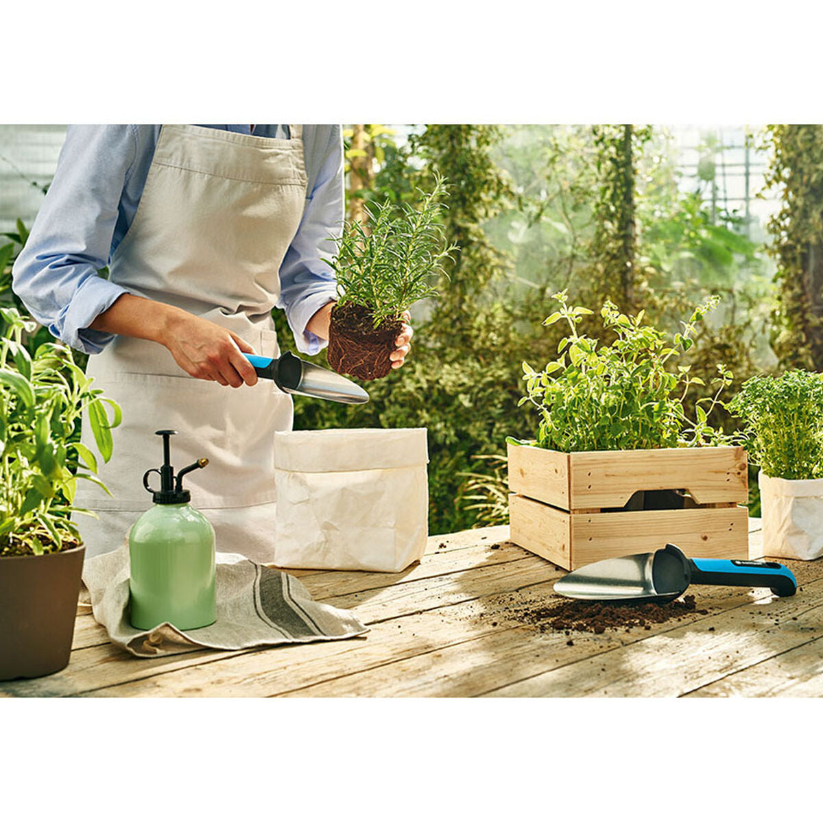 V4H0D2023ECA1C24C2ECBA087D380200BDER4407539P7