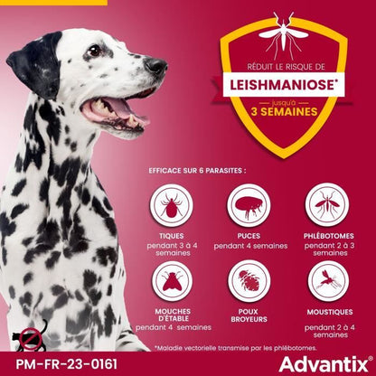 ADVANTIX 4 antiparasitic pipettes - For very large dog from 40 to 60 kg - 4 x 6 ml