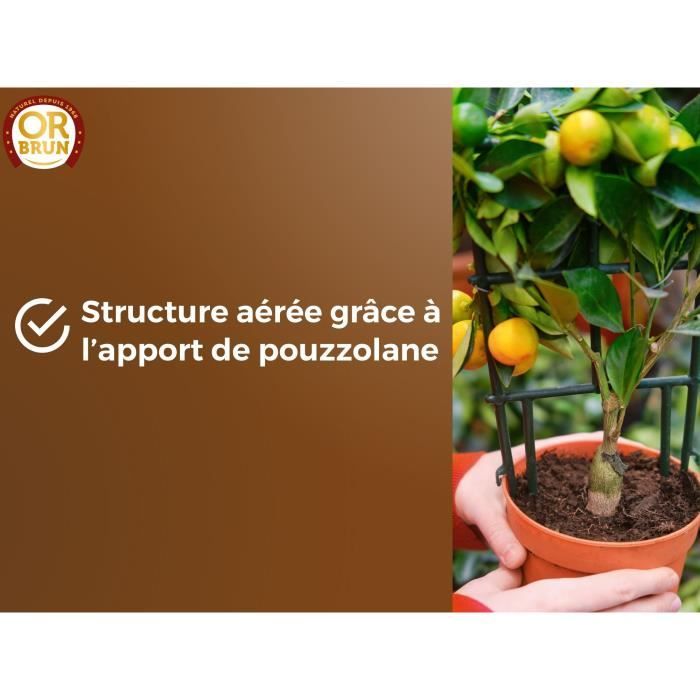 Citrus and Mediterranean plant soil - BROWN GOLD - OBRTAG20N - 20 L