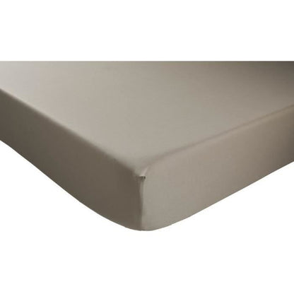 Dodo - antiBacteriens - Taupe - 90x190 cm cover sheet - Bonnet 32 ??cm
