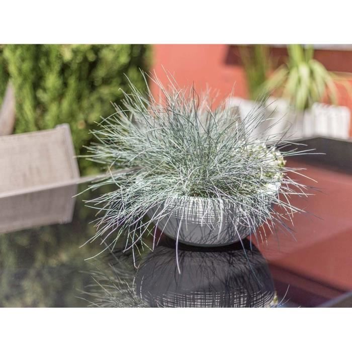 EDA Plastic - Graphit'up Vasque Pot Ø 30 - 5.5L - Cenguse white