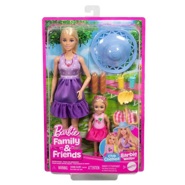 BARBIE AND CHELSEA BOX SET