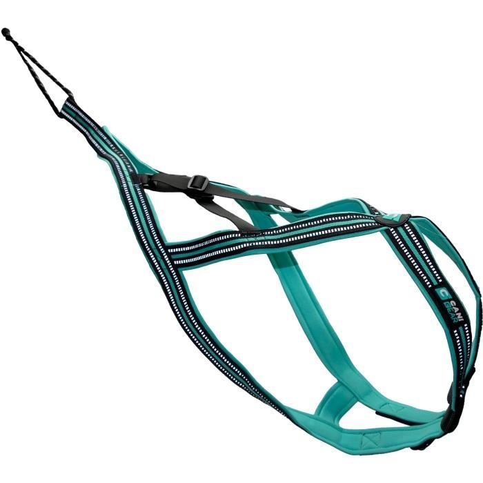 Dog traction harness - OLYMPIA - XS - X-back type - Blue