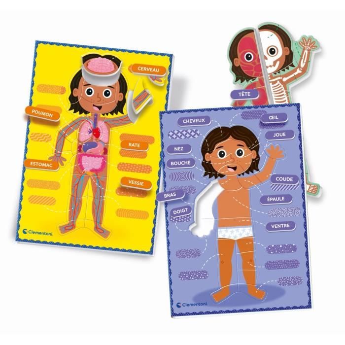 Montessori - Clementoni - The Human Body - Educational game to learn how the body is made inside and out - D