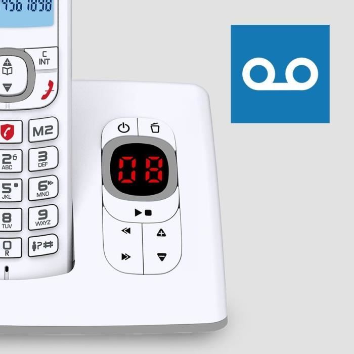 Alcatel Classic F530 Voice Solo Gray Cordless phone