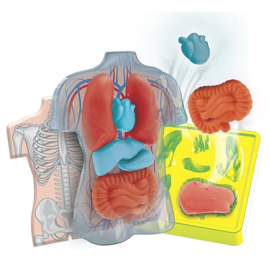 CLEMENTONI Mini Anatomy Lab