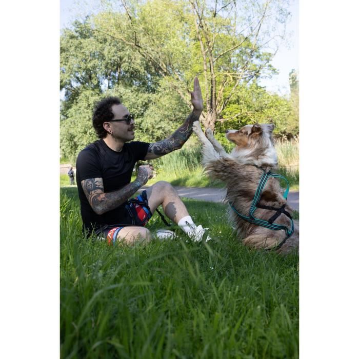 Dog traction harness - OLYMPIA - L - X-back type - Blue