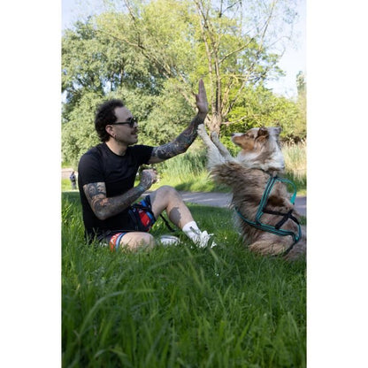 Dog traction harness - OLYMPIA - L - X-back type - Blue