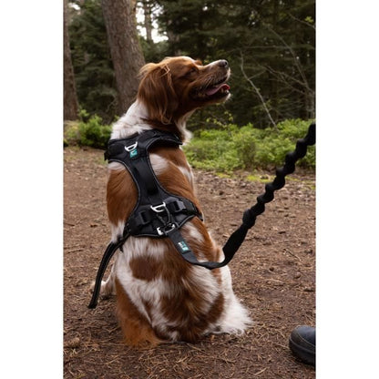 Dog harness - SYMBIOZ - S - Black / Blue