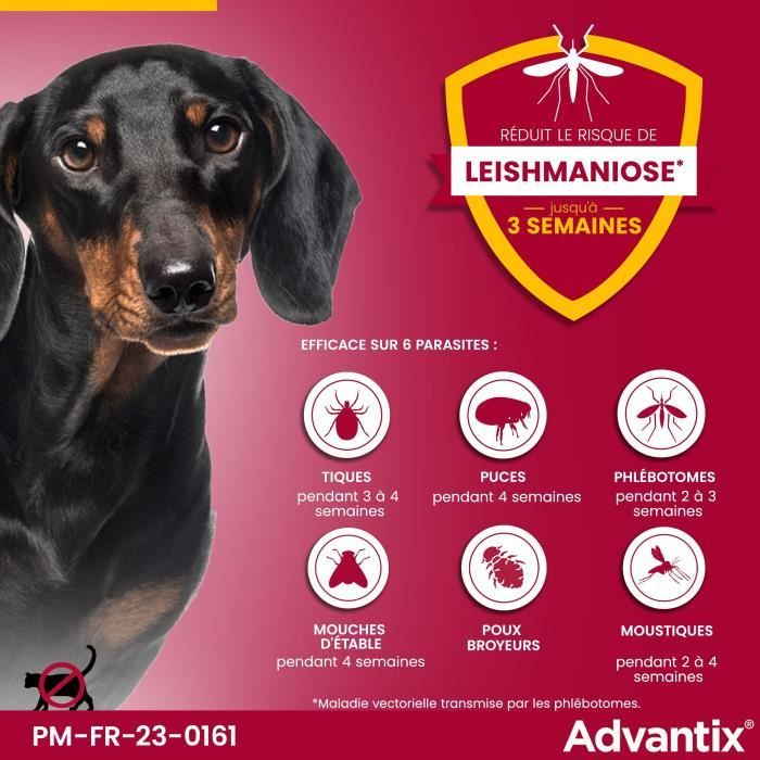 Advantix Dog very small breed antiparasitic solution 1.5 to 4kg 6 pipettes
