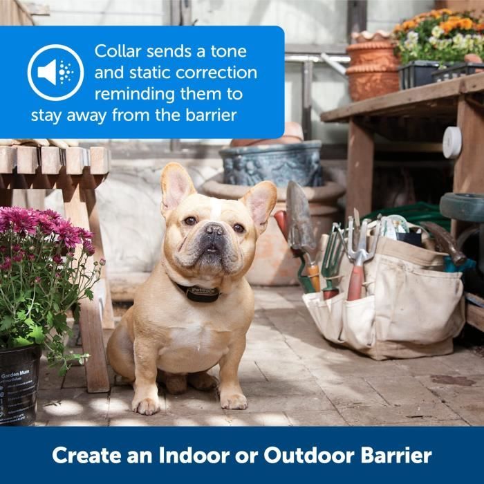 PETSAFE Extra Mini Barrier Collar - Black - For Dog and Cat