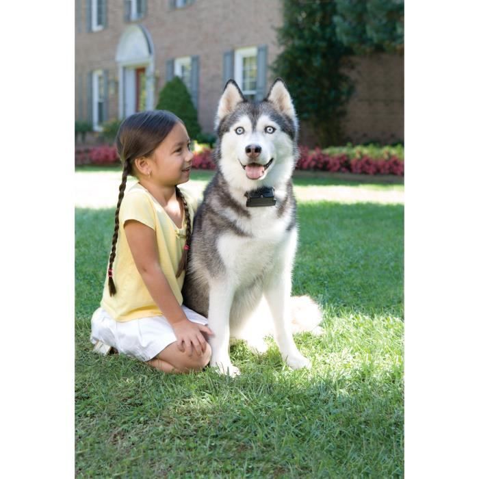 Anti-Fugue Dog Fence Super Radio Fence Prf-3004xw-20