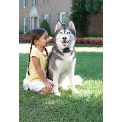 Anti-Fugue Dog Fence Super Radio Fence Prf-3004xw-20