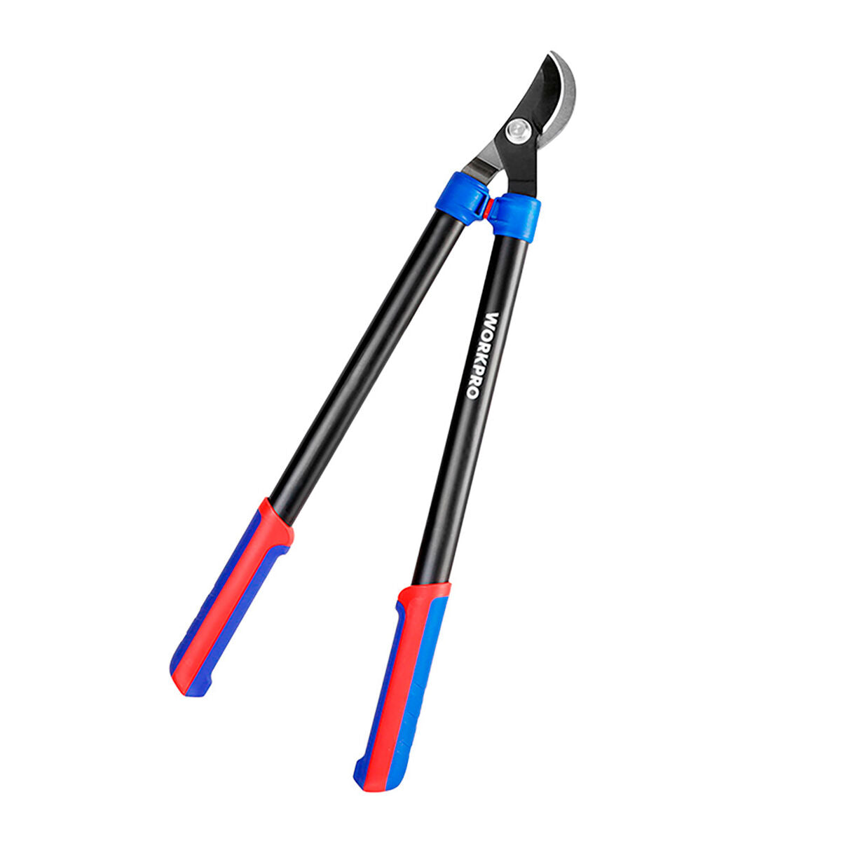 V4H879B22547F51076C42ECE87074DCDACBR7506164P1