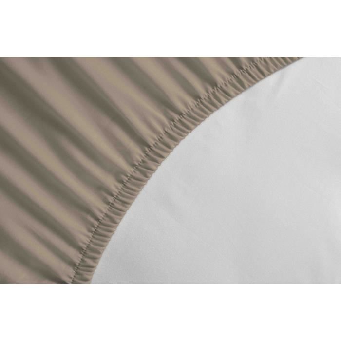 Fitted sheet - HOME LINGE PASSION - HP72127 - 82 g Microfiber - 140 x 190 cm - 30 cm pocket - Beige