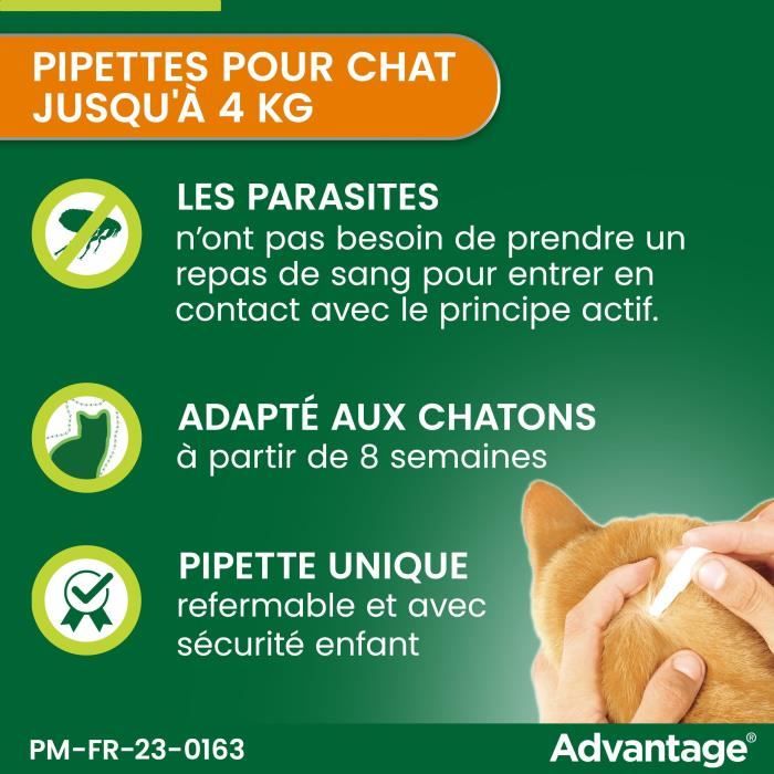 Advantage antipuce rabbit chat solution 1 to 4kg 6 pipettes