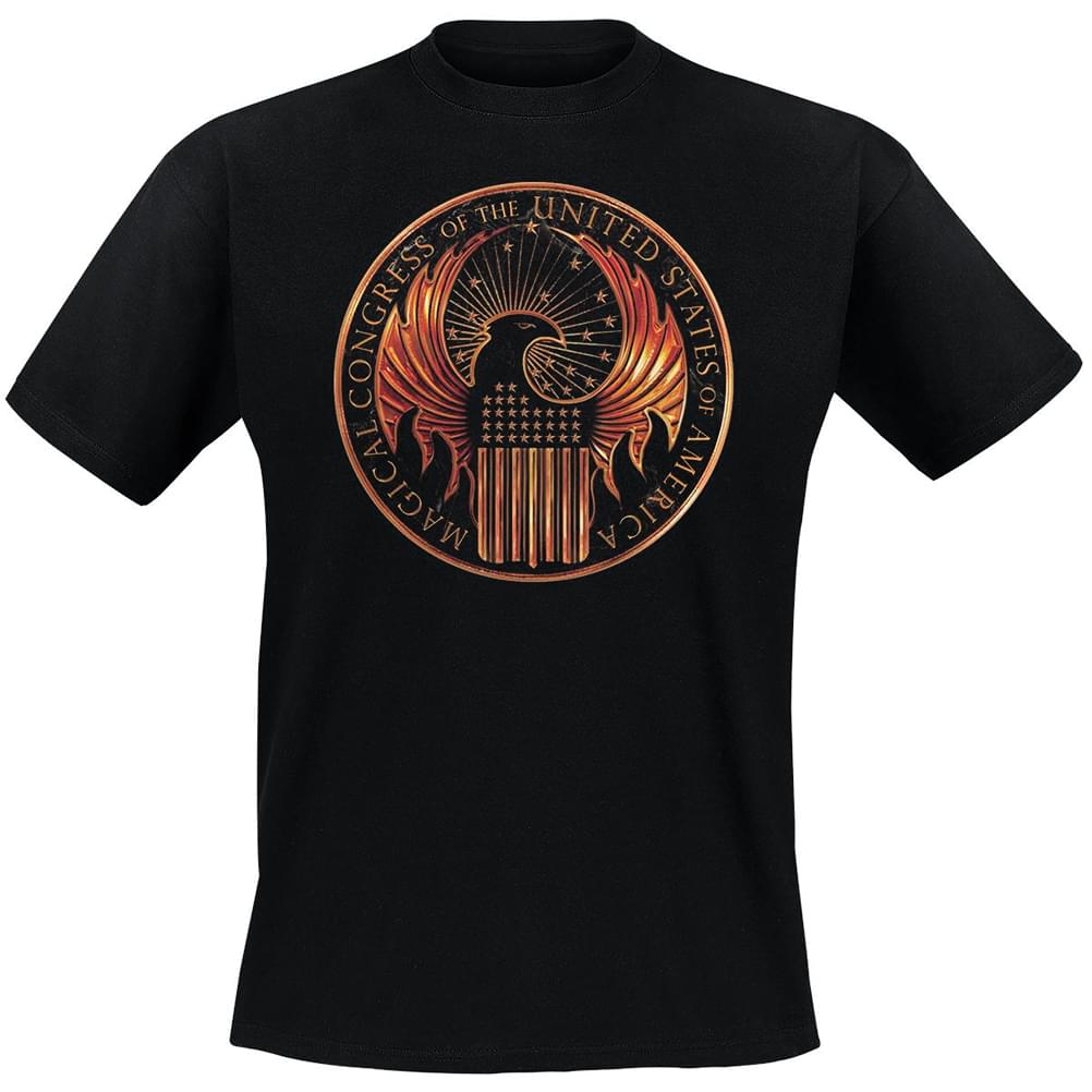 Fantastic Beasts Youth Black Magical Congress T-Shirt: Large