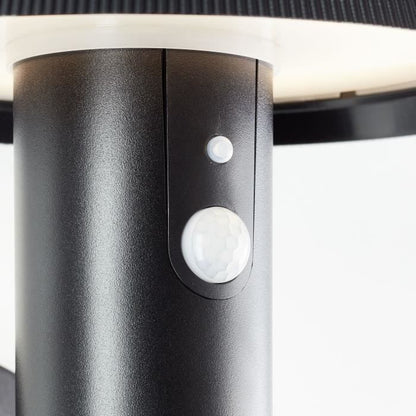 Outdoor wall light - BRILLIANT - ALVERO - LED and solar - Motion detector - Metal and plastic - 4 W - Black