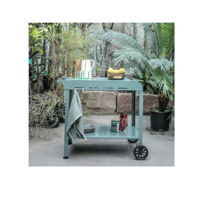 Plancha trolley - LIVOO - GS168V - Green / Black