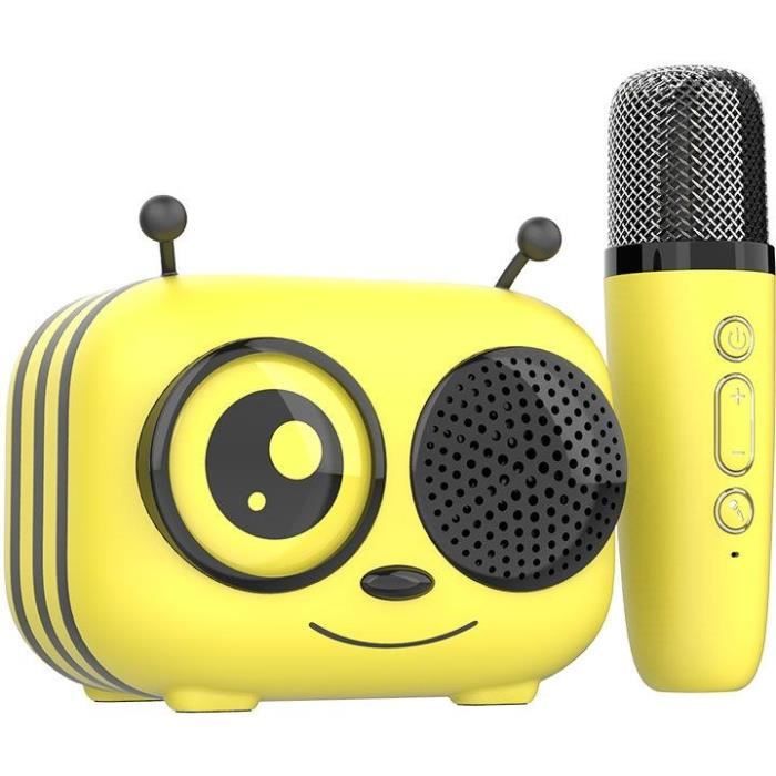 Karaoke kit / Bluetooth speaker and wireless microphone - CGV - MAYA, Magical voice effects, 8h battery life, USB charging