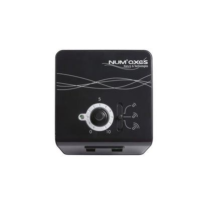 NUMAXES Anti-fugue set - Black - For cat and small dog