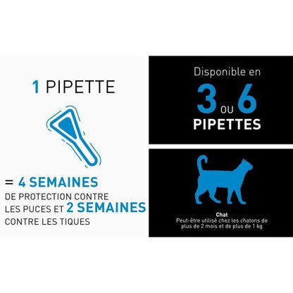 FRONTLINE Spot On Cat - 6 pipettes